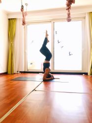 -Yvon yoga 瑜伽·精准体态管理中心