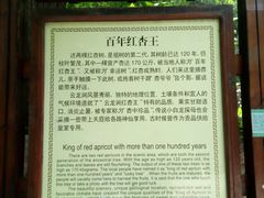 -连云港云龙涧原生态风景区
