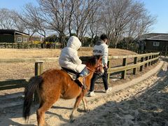 -苏州太湖西山岛开心农场