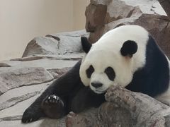 -宁波野生动物园