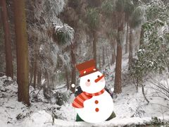 -钟鼎寺