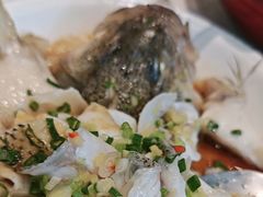 -金河半岛园林酒家(金融城店)
