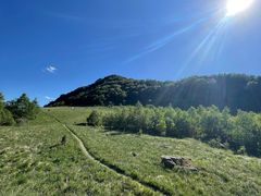 -白草畔自然风景区