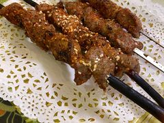 红柳烤串-新疆红柳花餐厅(新洲店)