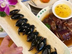-美未居·老字号·地道顺德菜·桑拿鸡·鱼生(容桂店)