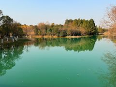 -盛兴面馆(真儒大厦店)