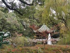 -申粤轩酒楼·三十年粤菜经典(丁香花园店)