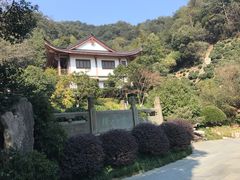 -十八棵（老龙井）御茶园(老龙井店)