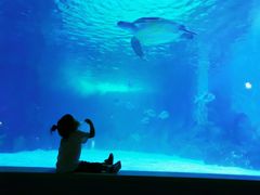 -常州海昌海洋探索馆