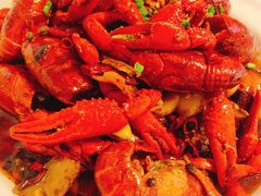 招牌麻辣小龙虾-霸王虾·麻辣小龙虾(清水河公园店)