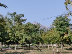 -永定河休闲森林公园