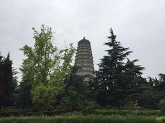 -法门文化景区