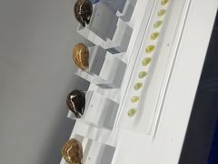 -贝壳王国博物馆
