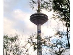 -辽宁电视塔