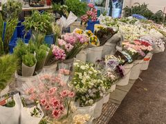 -双季花艺园艺市场(浦东店)