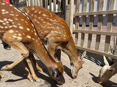 -水上乐园·欢乐世界