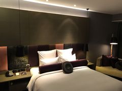 -南京禄口机场雅高铂尔曼大酒店