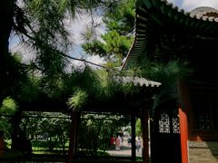 -晋祠公园