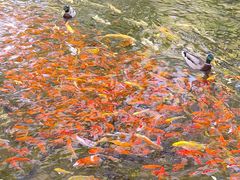 -水磨沟公园
