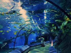 -福州罗源湾海洋世界旅游区