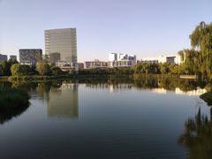 -大兴滨河森林公园