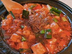 -陈麻婆豆腐总店