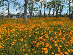 -芒洲湿地公园