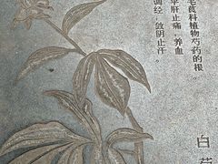 -广州神农草堂中医药博物馆