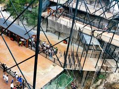 -梦幻奥陶纪景区