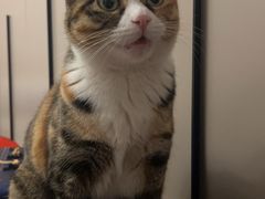 -新荟城(望京店)