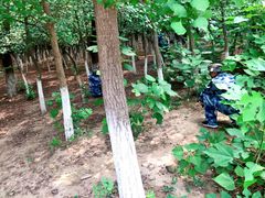 -亲兄弟真人CS团建拓展基地