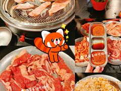 -广东花都湖国家湿地公园