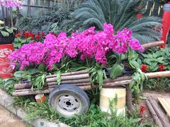 -郑州植物园