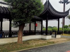 -莲花岛景区