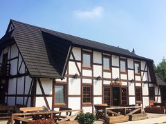 -金山农民画村-枫泾波兰倒置屋