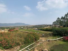 -光明小镇欢乐田园