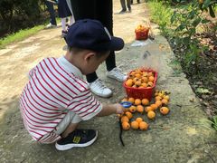 -塘栖枇杷特色园区