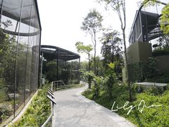 -新加坡飞禽公园