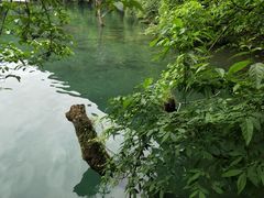 -郧西五龙河风景区