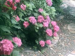 -小仙居·农家宴烤羊· 农庄