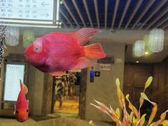 -玲珑汤泉生活会馆(花桥店)