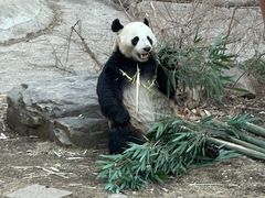 -沈阳森林动物园
