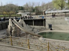 -石家庄市动物园