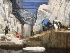 -成都浩海立方海洋公园