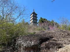 -天台山赤城山景区
