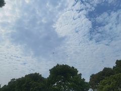 -碧海金沙
