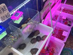 -双季花艺园艺市场(浦东店)