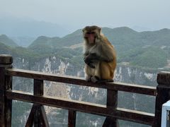 -重庆云阳龙缸景区
