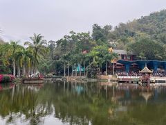 -西双版纳原始森林公园