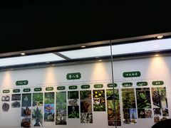 -广东中医药博物馆